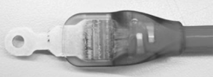 1623933700217480.png 0 (8).png