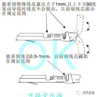 1624968782840530.png 0 (8).png