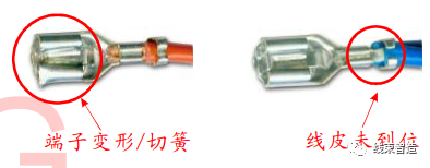 1624968943632635.png 0 (2).png