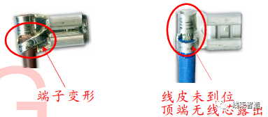 1624969185591333.png 0 (10).png