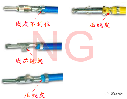1624969260718202.png 0 (11).png