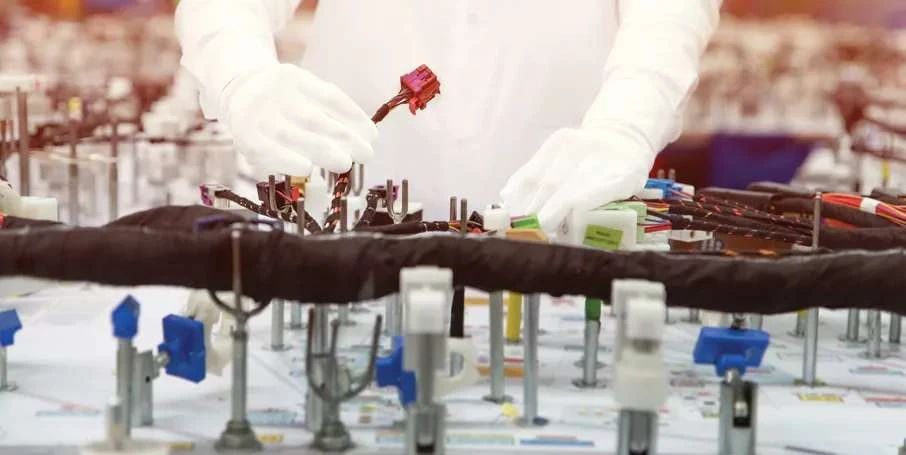 1645010368569995.jpg 0 (1).jpg