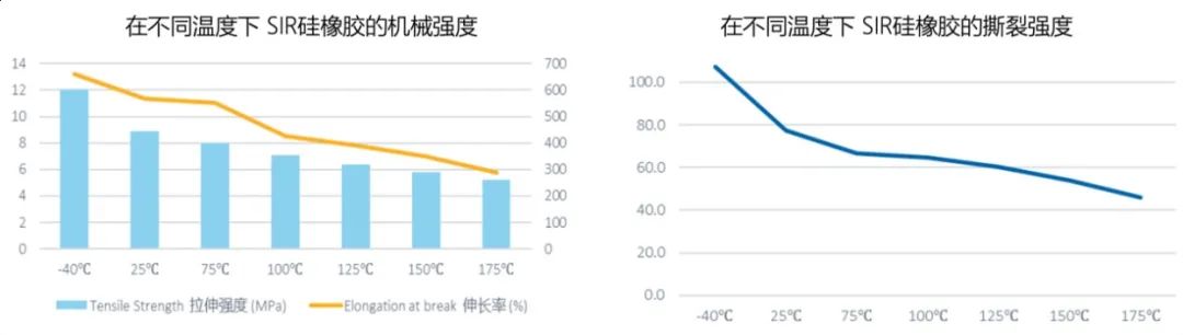 1645093235633562.jpg 0 (6).jpg